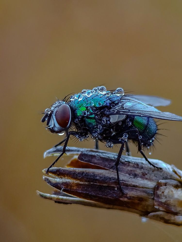 Photograph by Лариса Когтева