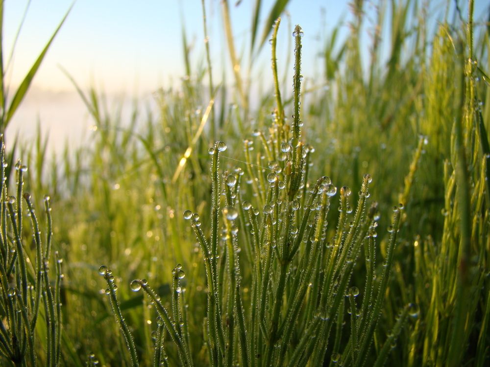 Photograph by Николай Дмитриев