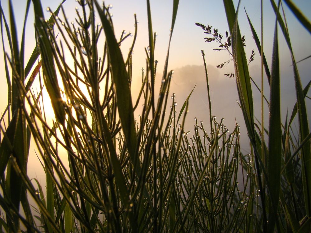 Photograph by Николай Дмитриев