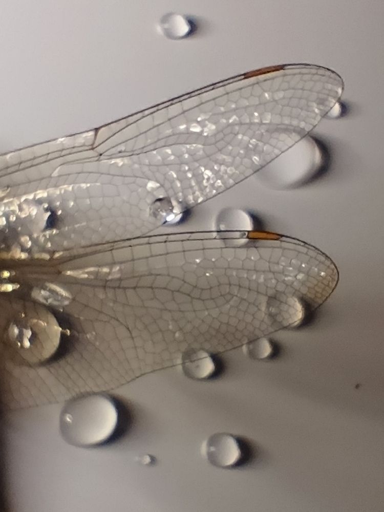 Интересные блики.