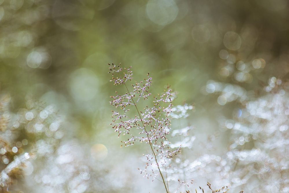 Photograph by Юлия Серазетдинова