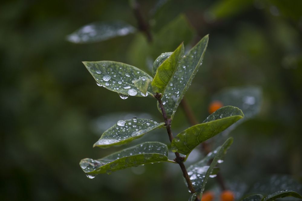 Photograph by Юлия Серазетдинова