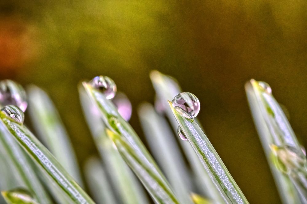 Photograph by Игорь Ковалёв