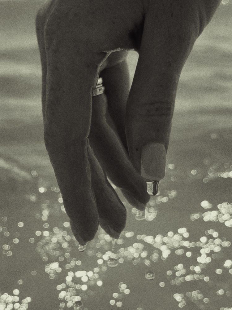 Photograph by Ольга