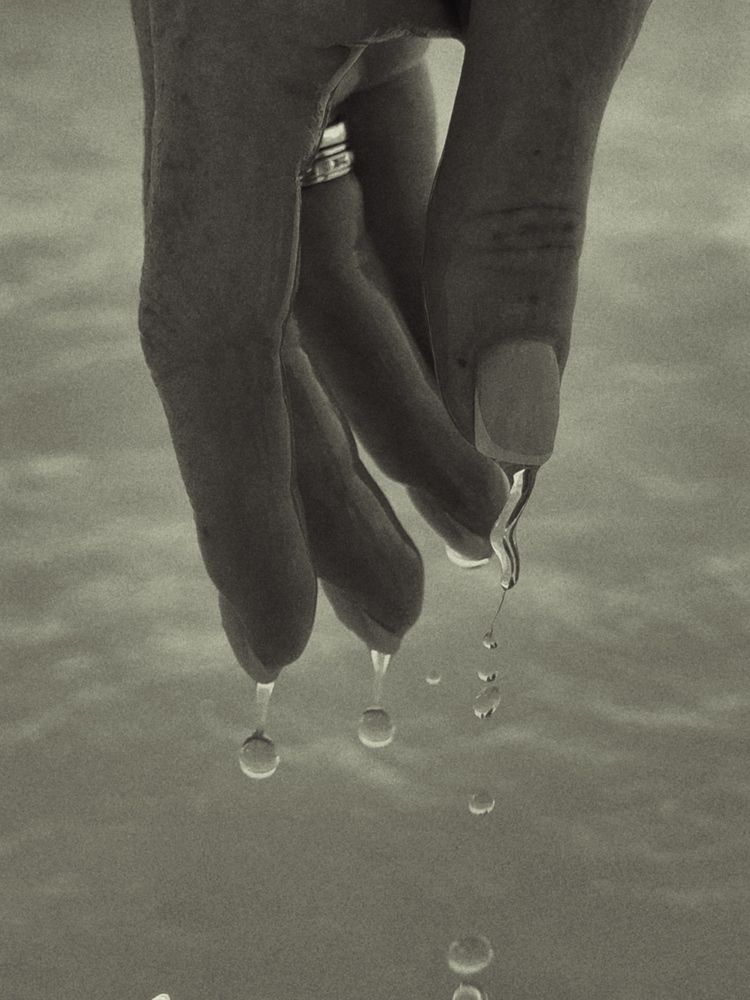 Photograph by Ольга