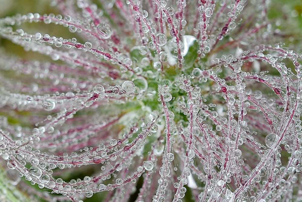 Photograph by Игорь Ковалёв