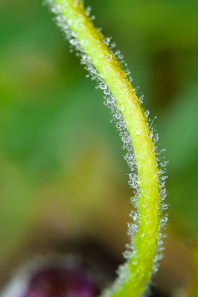 Photograph by Игорь Ковалёв