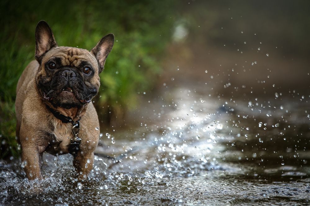 Photograph by Елена Самусенкова