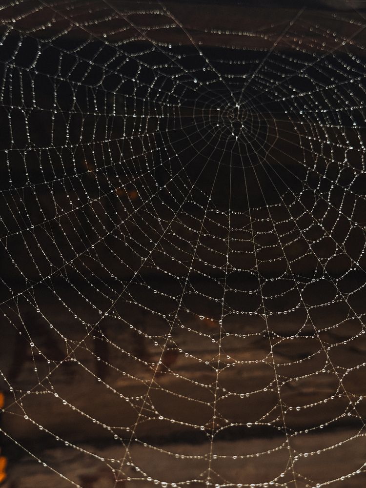 Photograph by Светлана Долганова