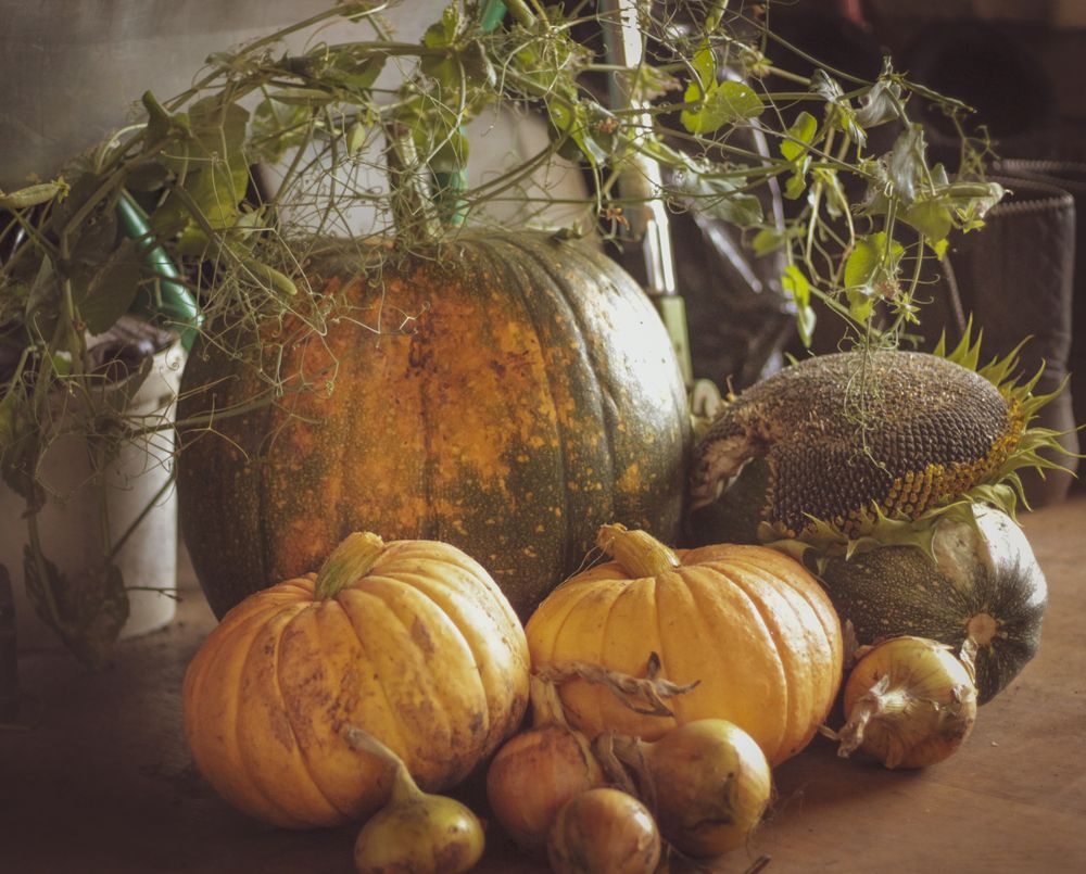 Photograph by Татьяна Гатиятуллина