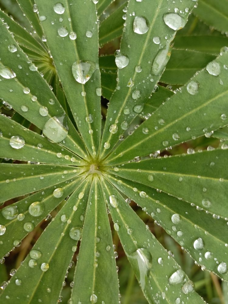 Photograph by Александр Прядко