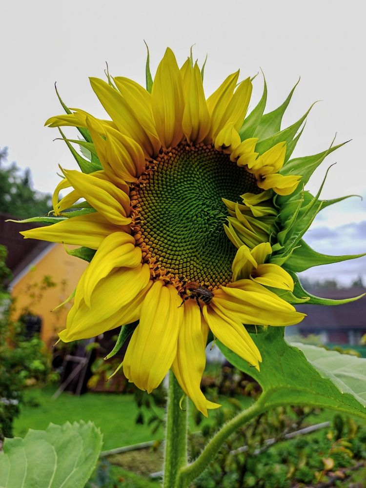 Photograph by Sergey Kurkov-Tarkovsky
