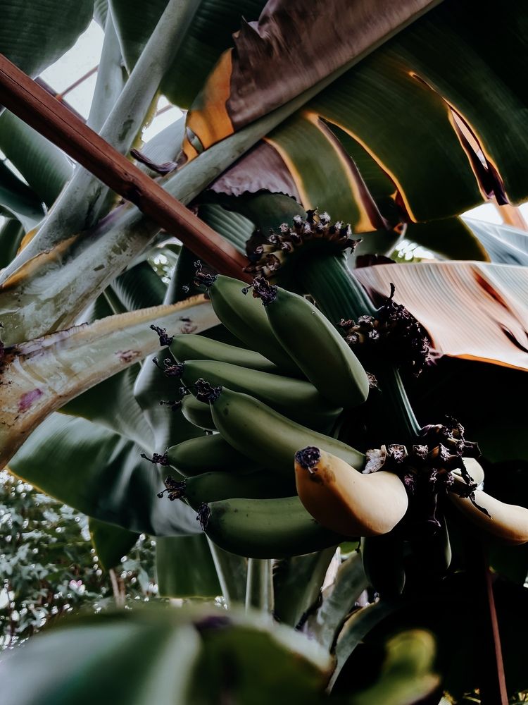 Photograph by Константин Шипицын