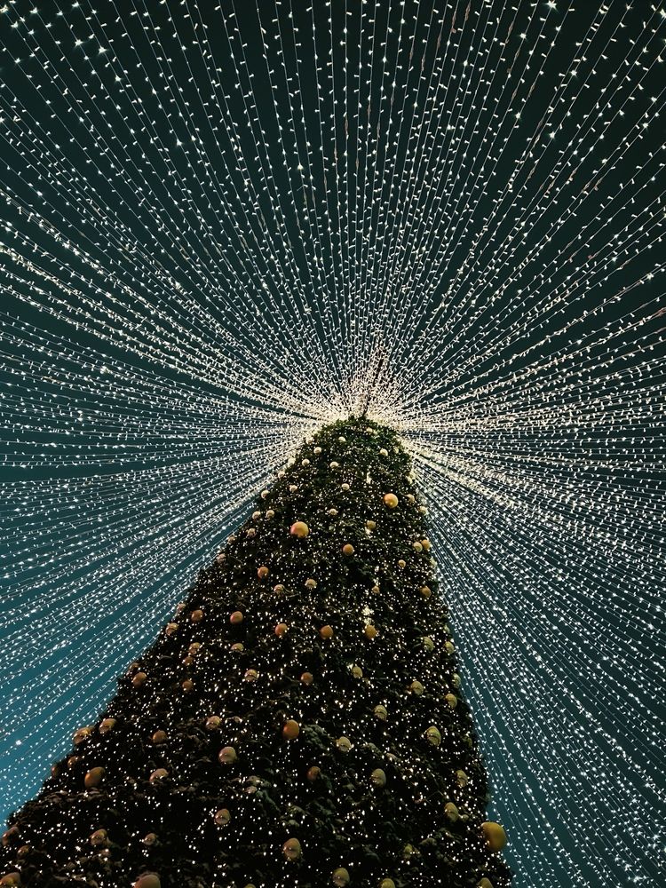 Photograph by Константин Шипицын