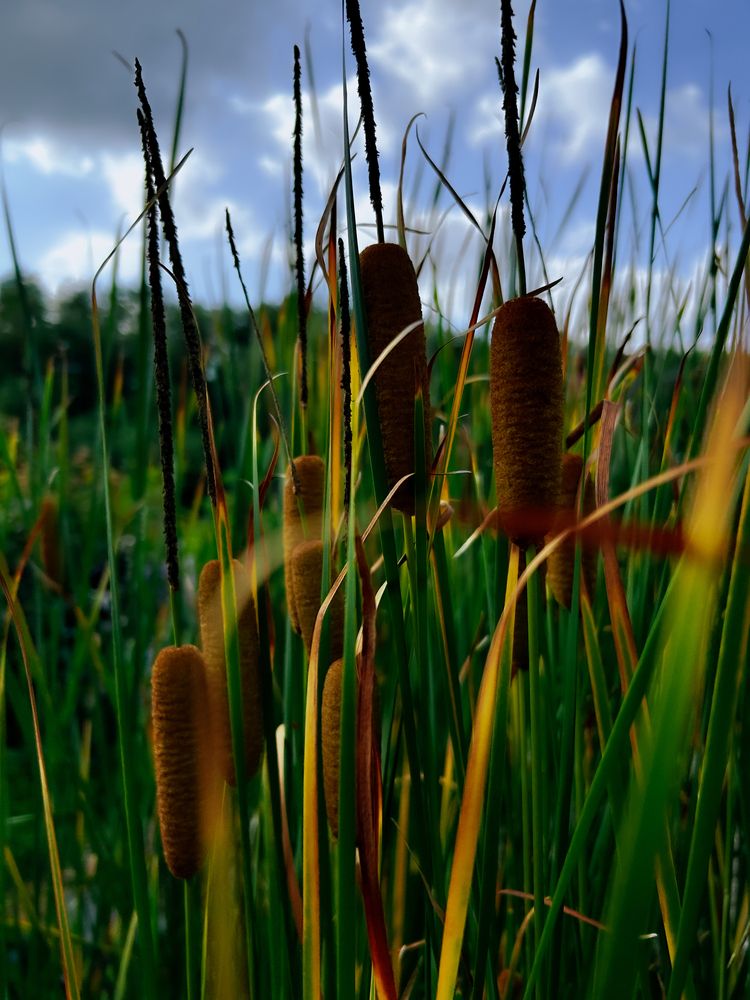 Photograph by Константин Шипицын