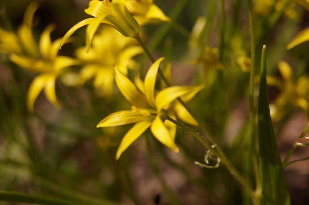 Photograph by Алексей Логинов