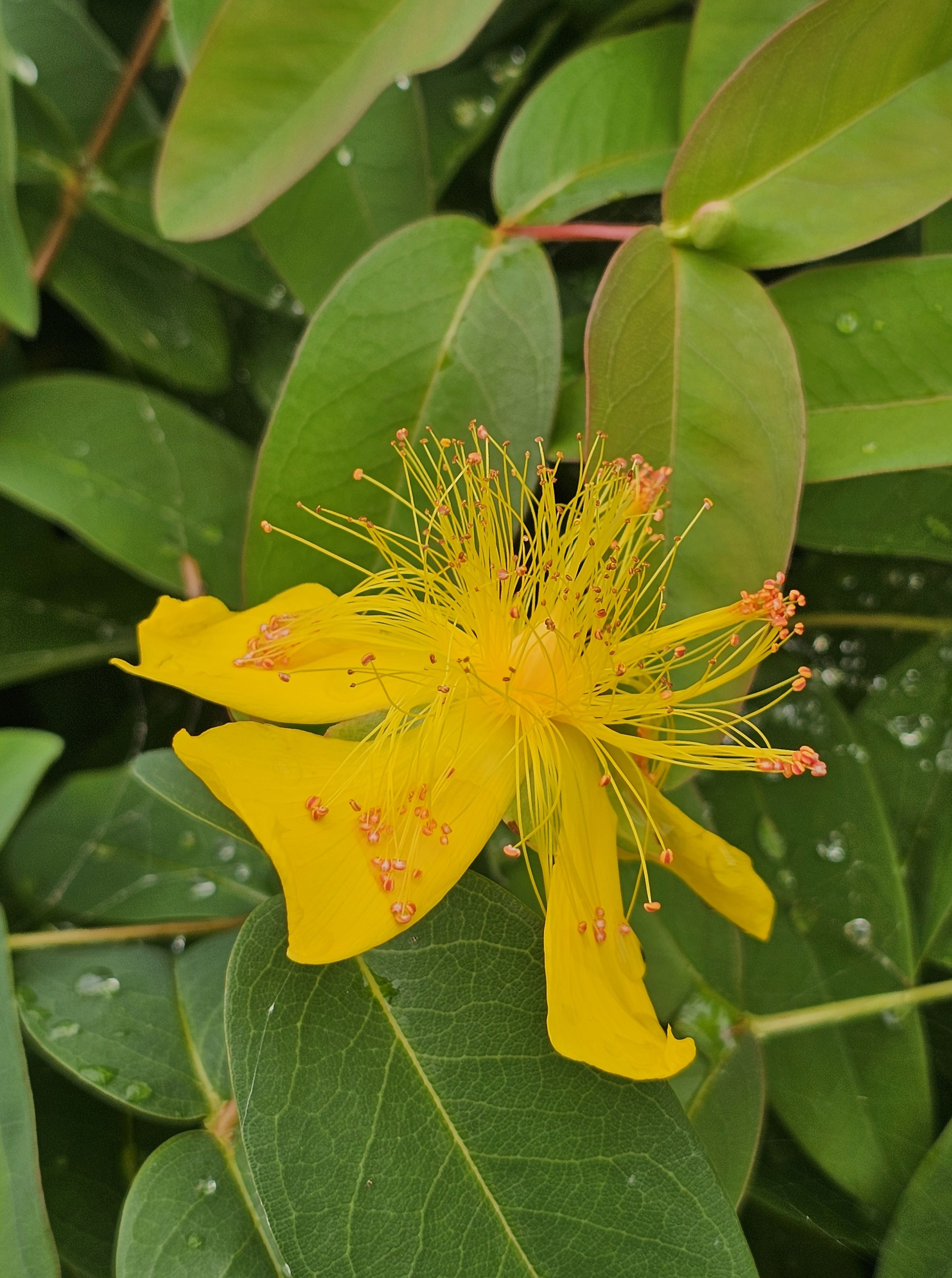 Фотография автора Oksana Podgorodetska