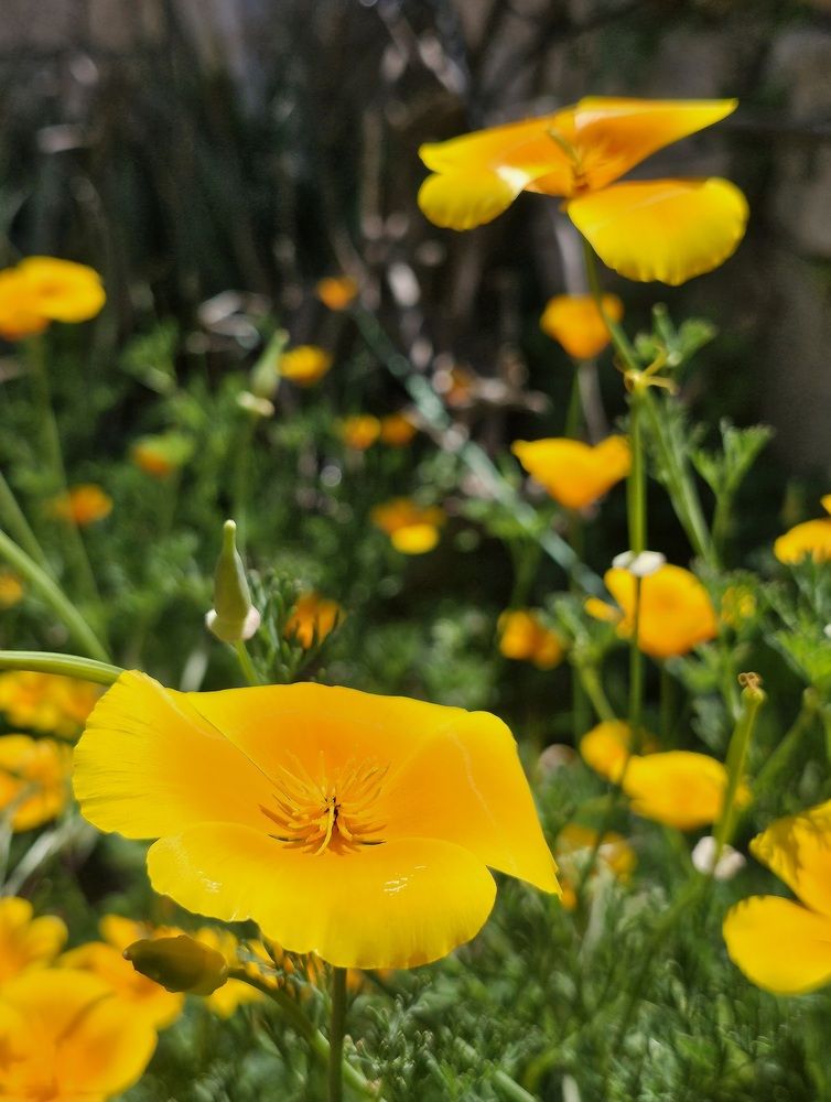 Фотография автора Oksana Podgorodetska