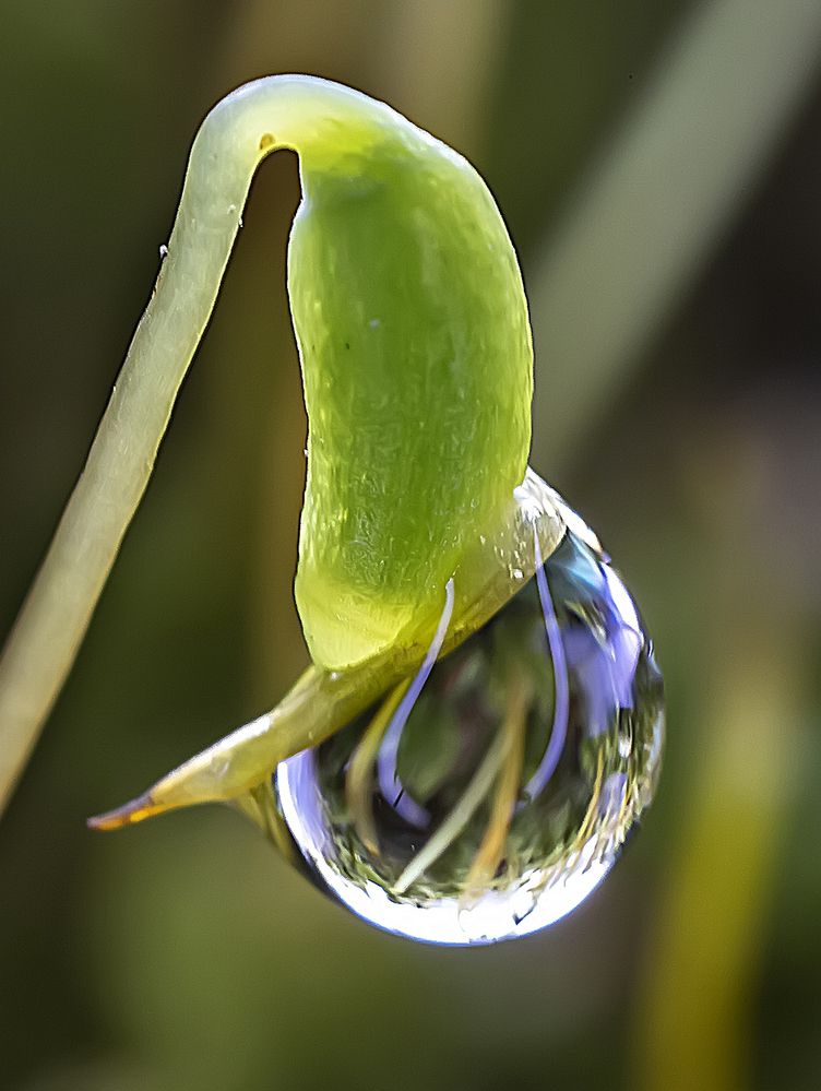 Photograph by Широких Александр