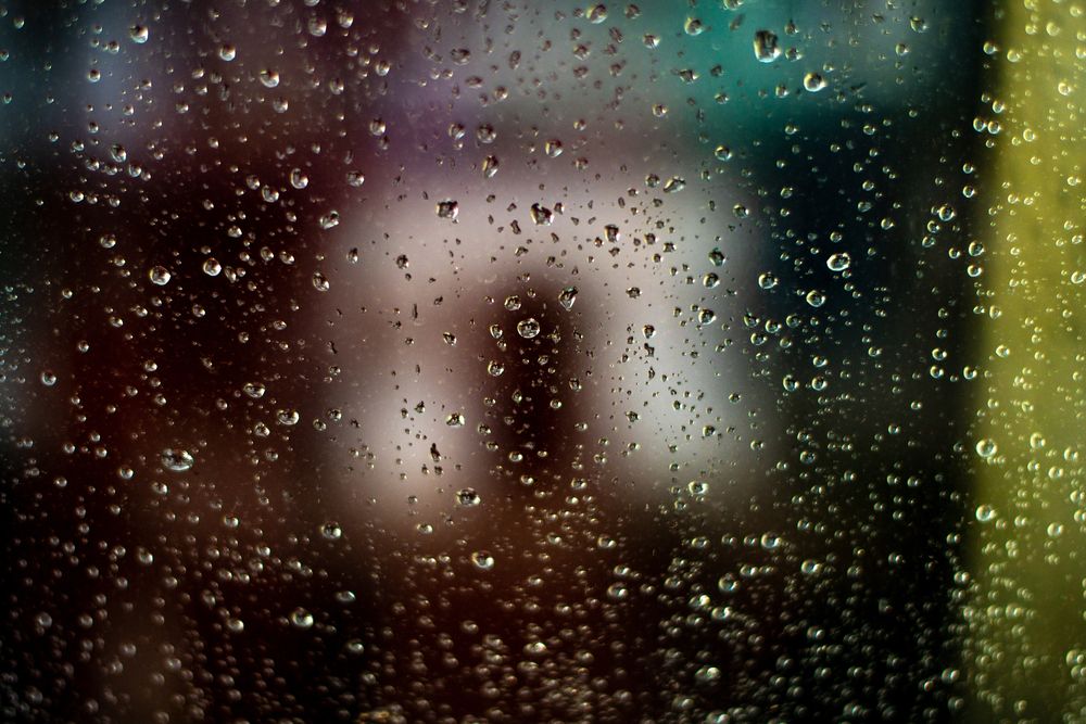 Photograph by Ангелина