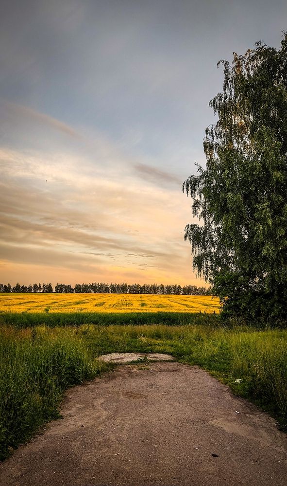 Фотография автора RENAT ABDULBYAROV