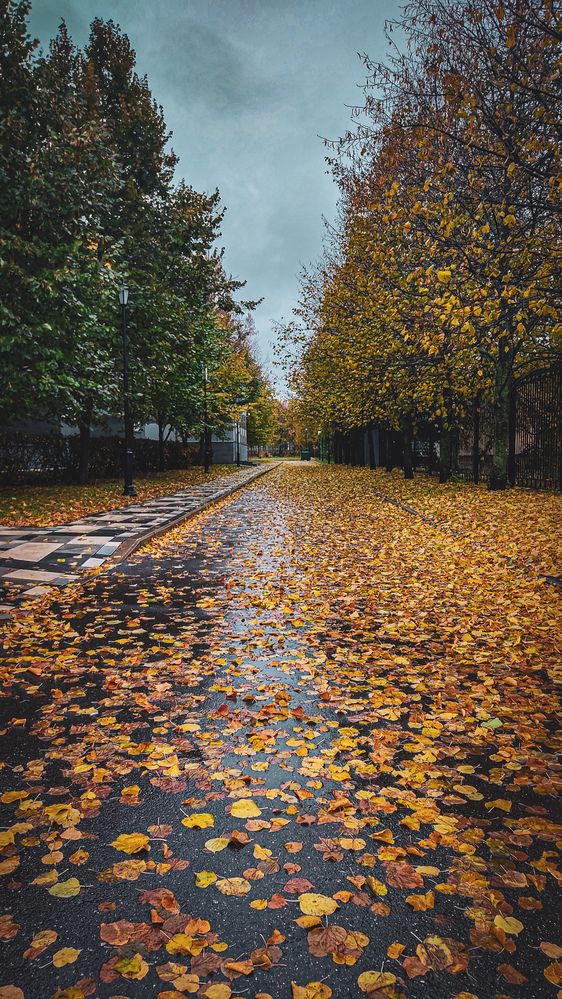 Фотография автора RENAT ABDULBYAROV
