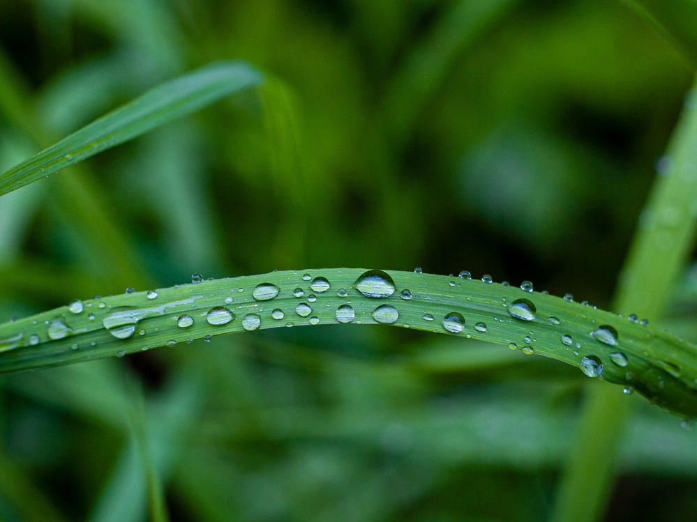 Photograph by Георгий Юркин