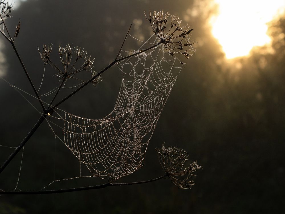 Photograph by Георгий Юркин