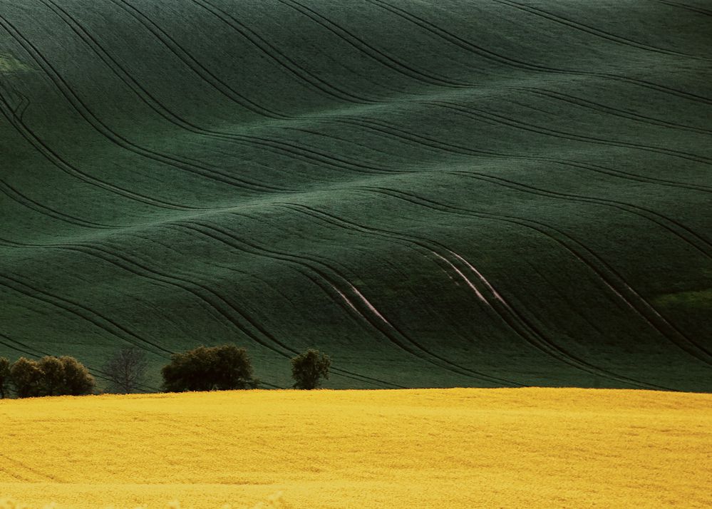 Photograph by Aleksandr