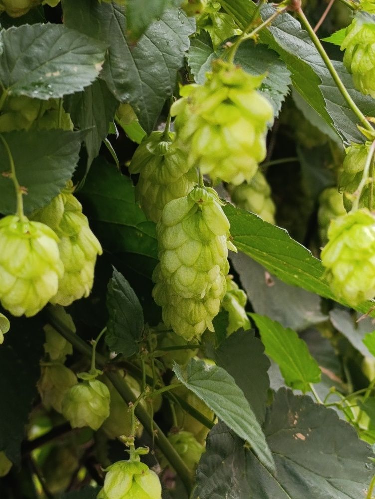 Photograph by Кадиров Азат