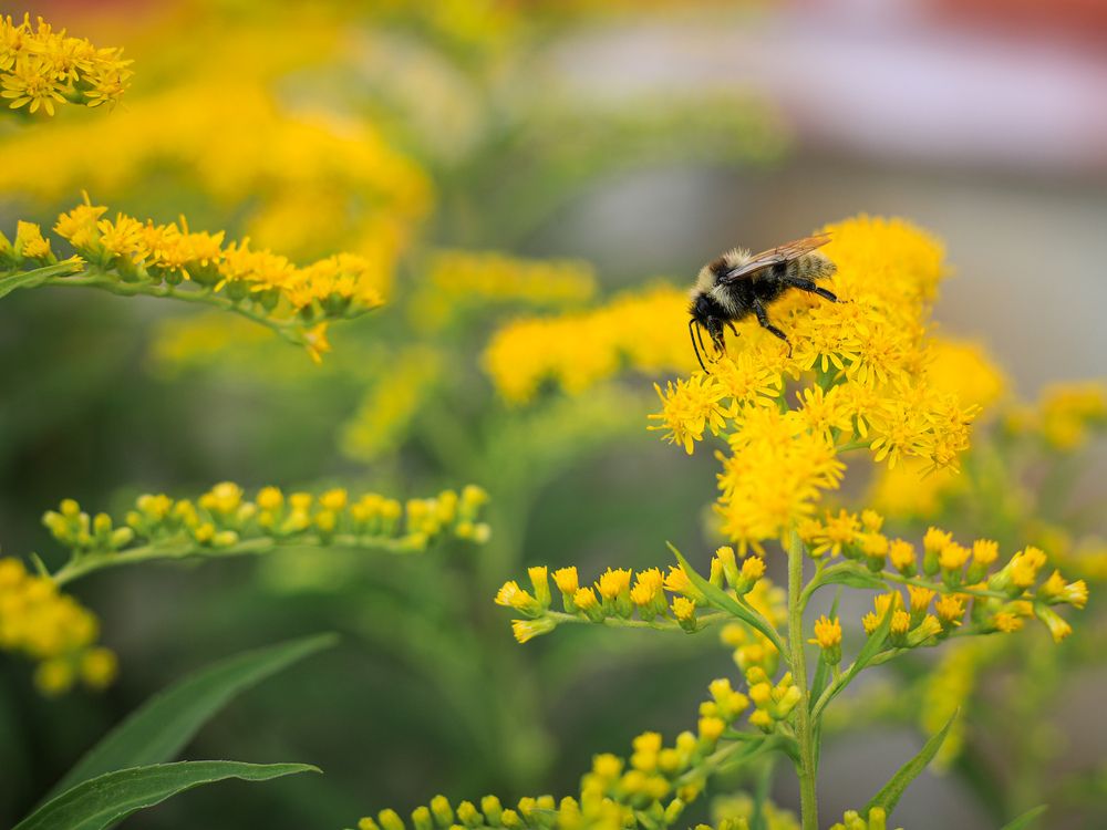 Photograph by Георгий Юркин