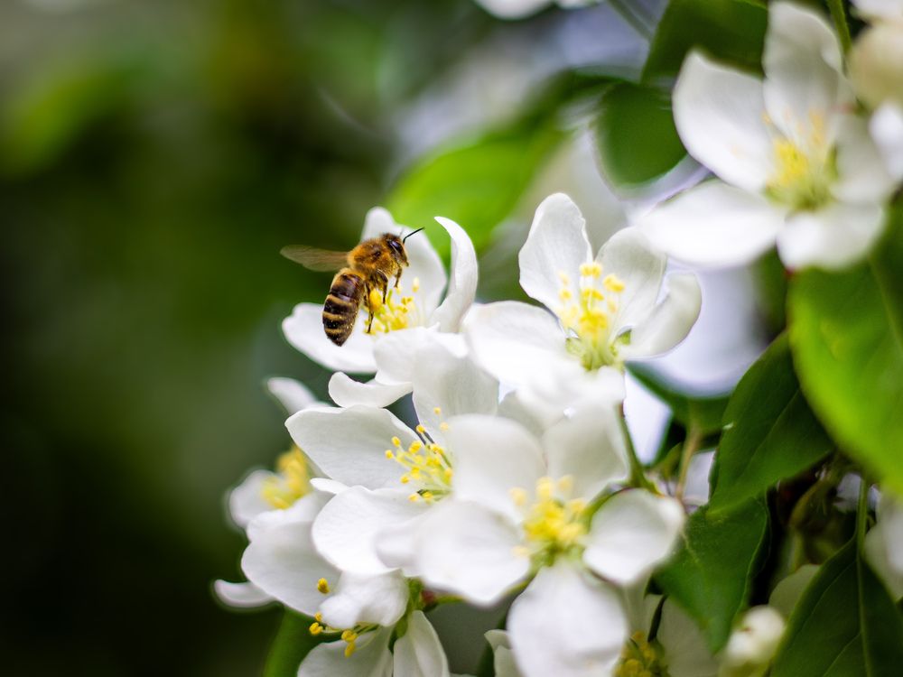 Photograph by Георгий Юркин