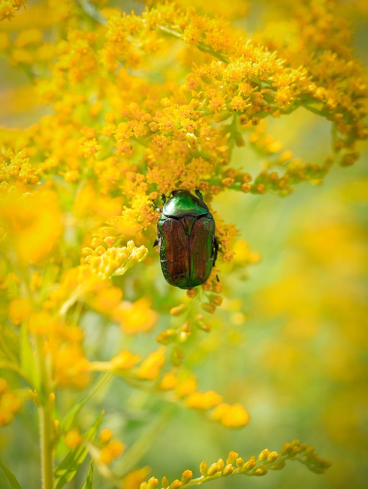 Photograph by Георгий Юркин
