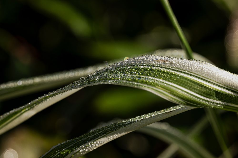 Фотография автора Ирина Гриценко