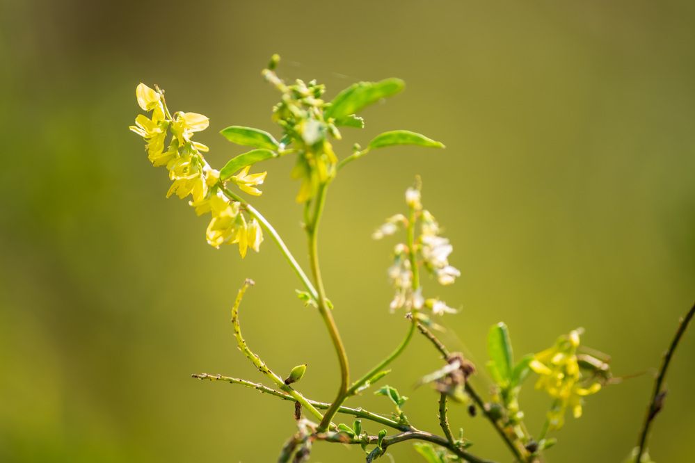 Photograph by Ангелина