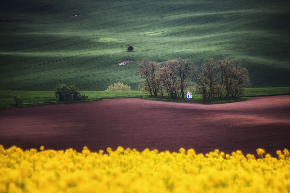 Photograph by Aleksandr