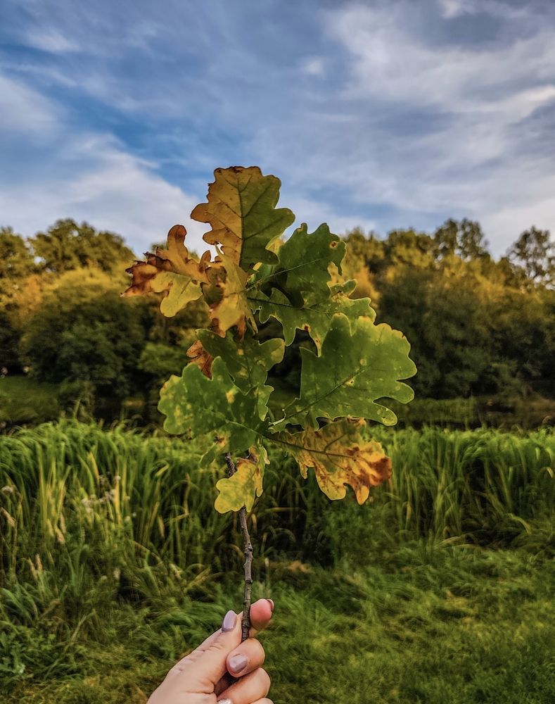 Photograph by Марина Бедрина