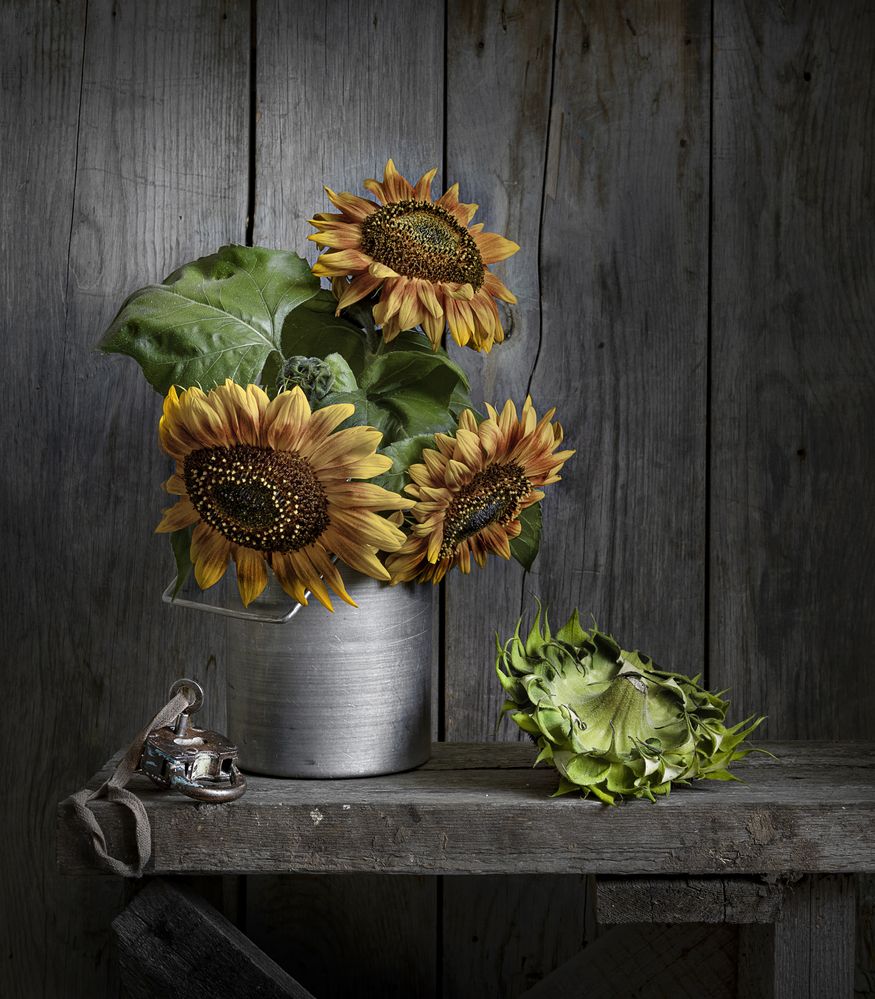 Осень,подсолнухи.