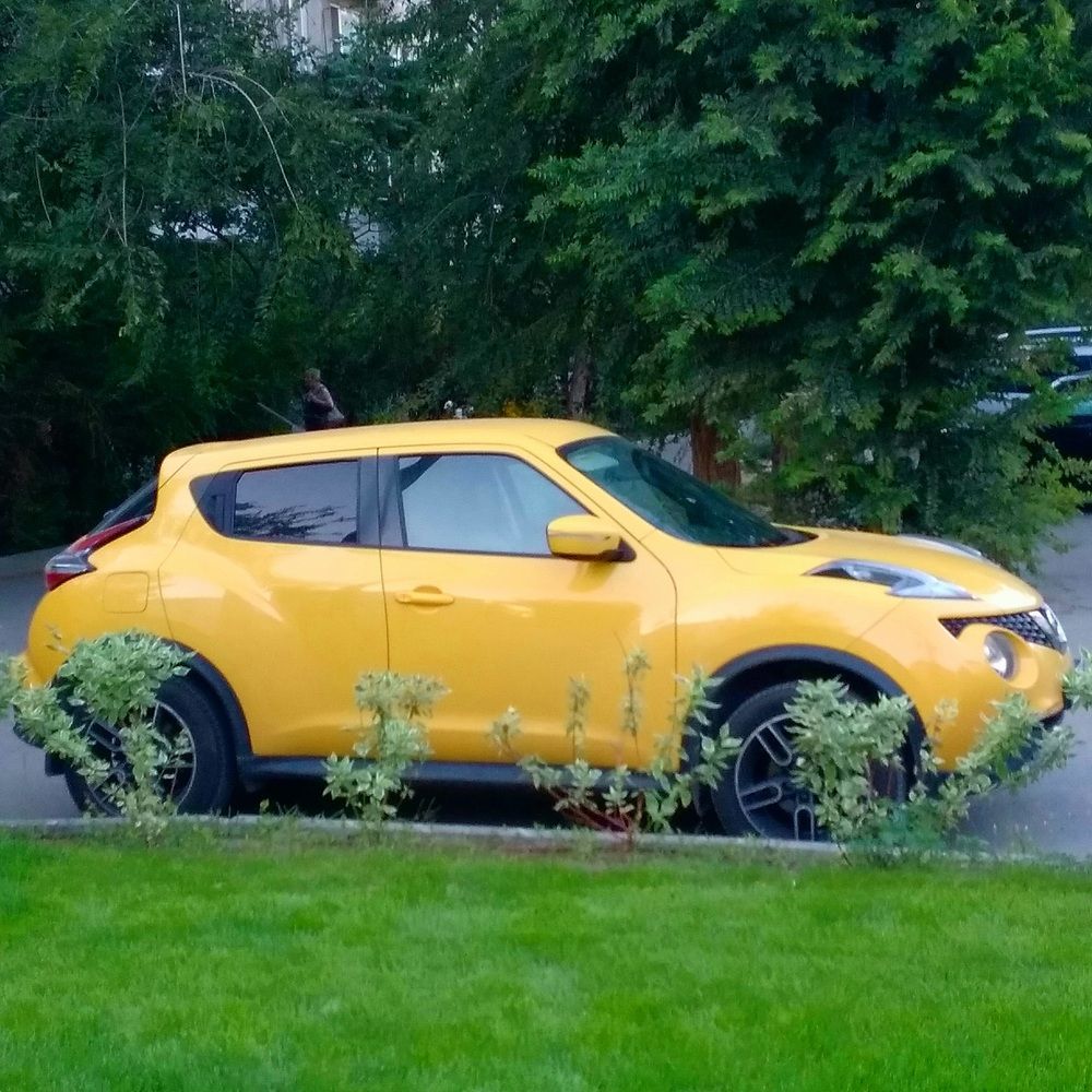 Photograph by Васильева Львовна