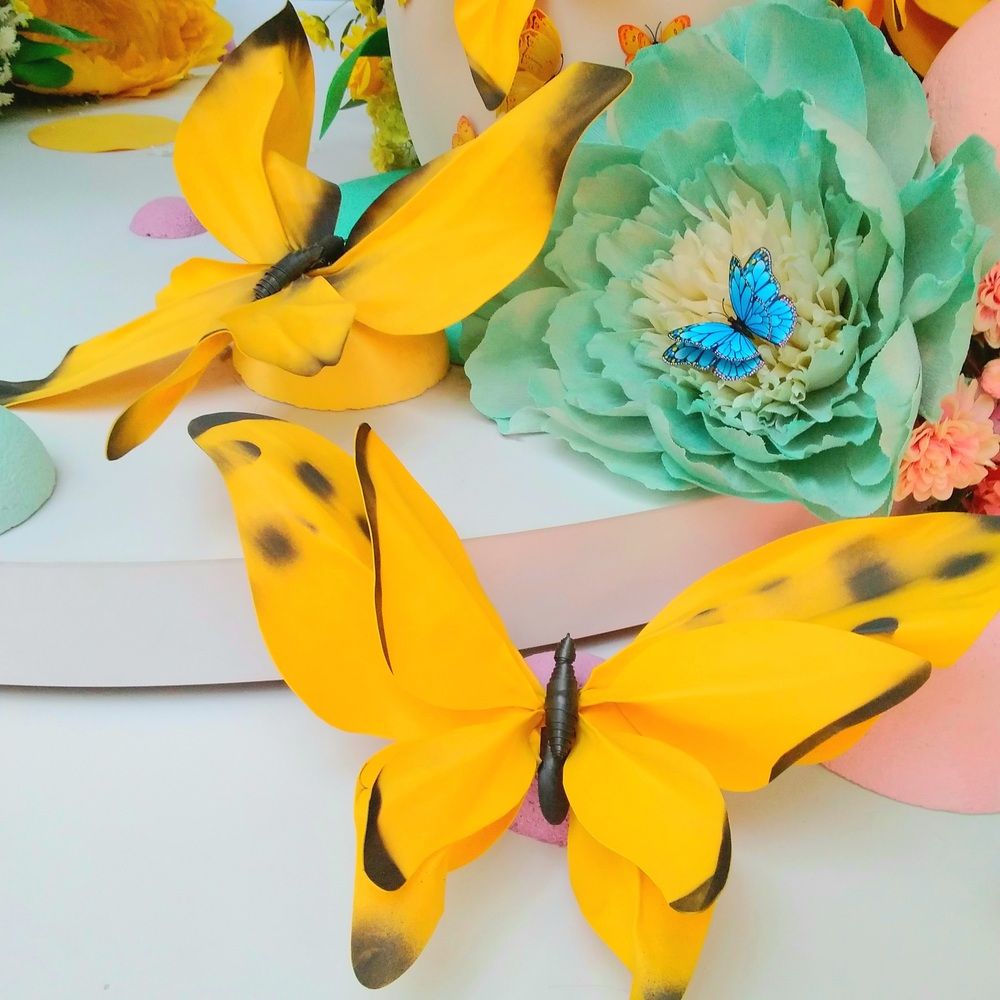 Photograph by Васильева Львовна