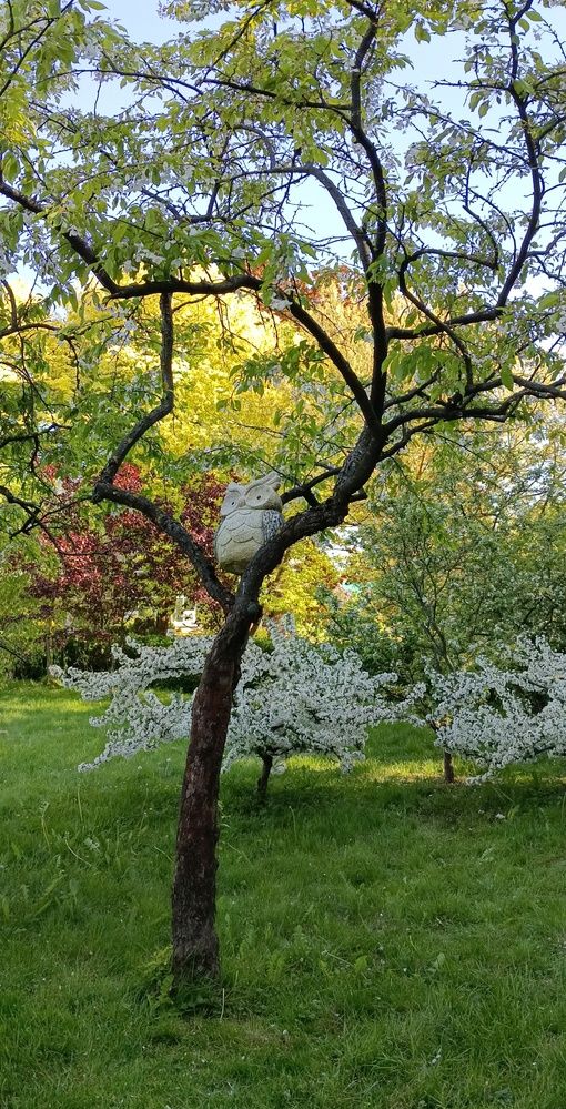 Photograph by Ирина Шведчикова