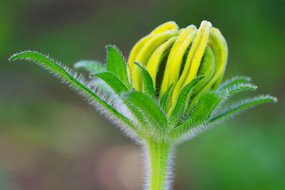 Photograph by Гагик Саркисян