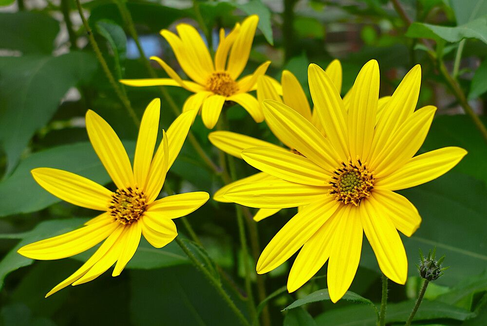 Photograph by Гагик Саркисян