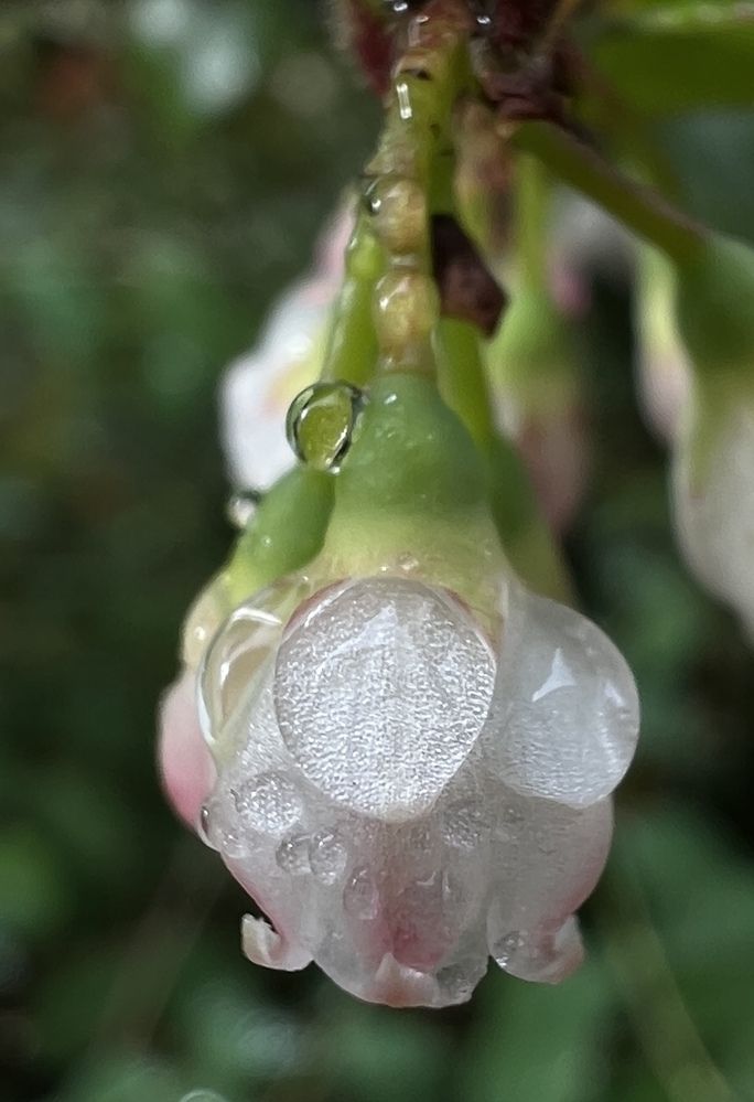 Фотография автора Diana