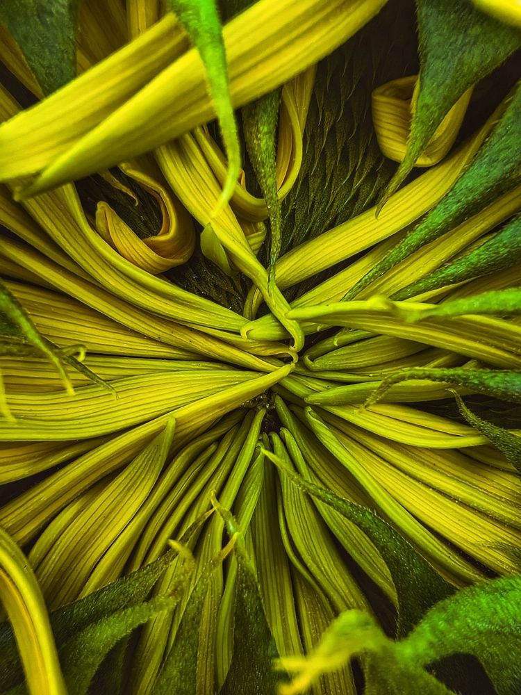 Фотография автора Александра Липницкая