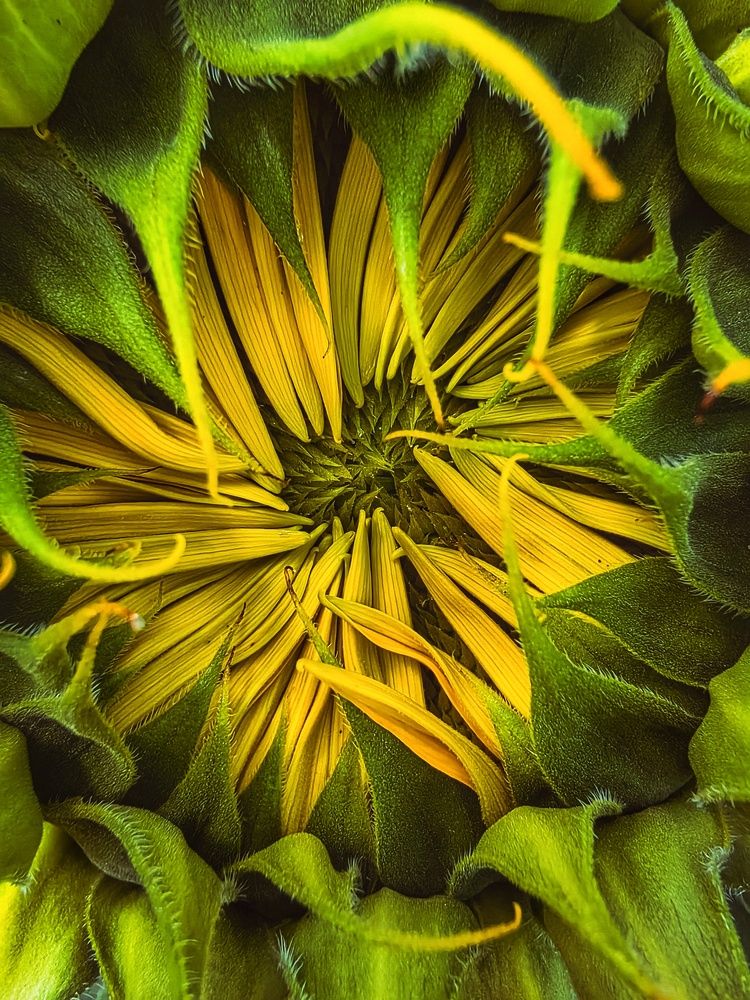 Photograph by Александра Липницкая