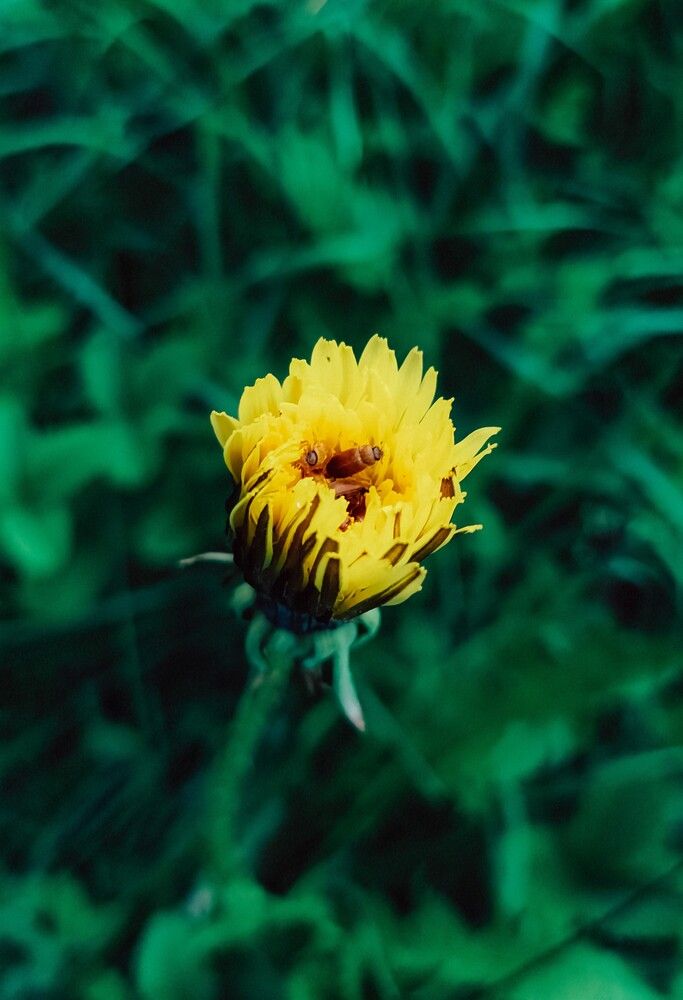 Photograph by Людмила Горячева