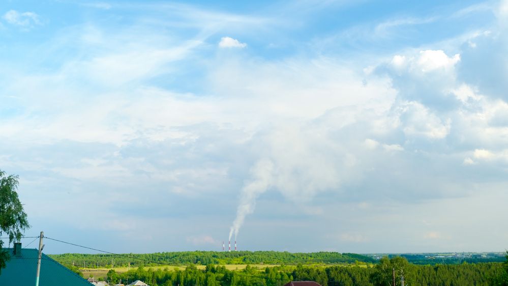 Photograph by Ангелина