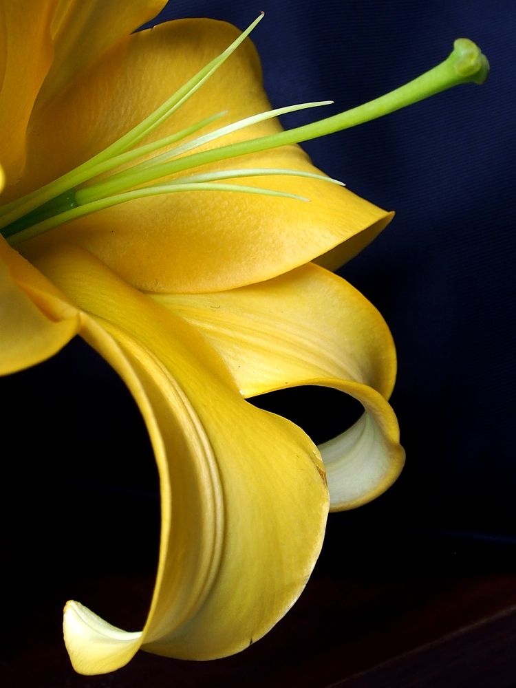 Photograph by Abdolreza Aleagha