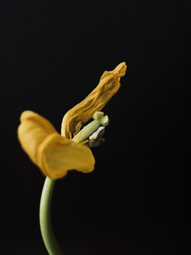 Photograph by Екатерина Кузнецова